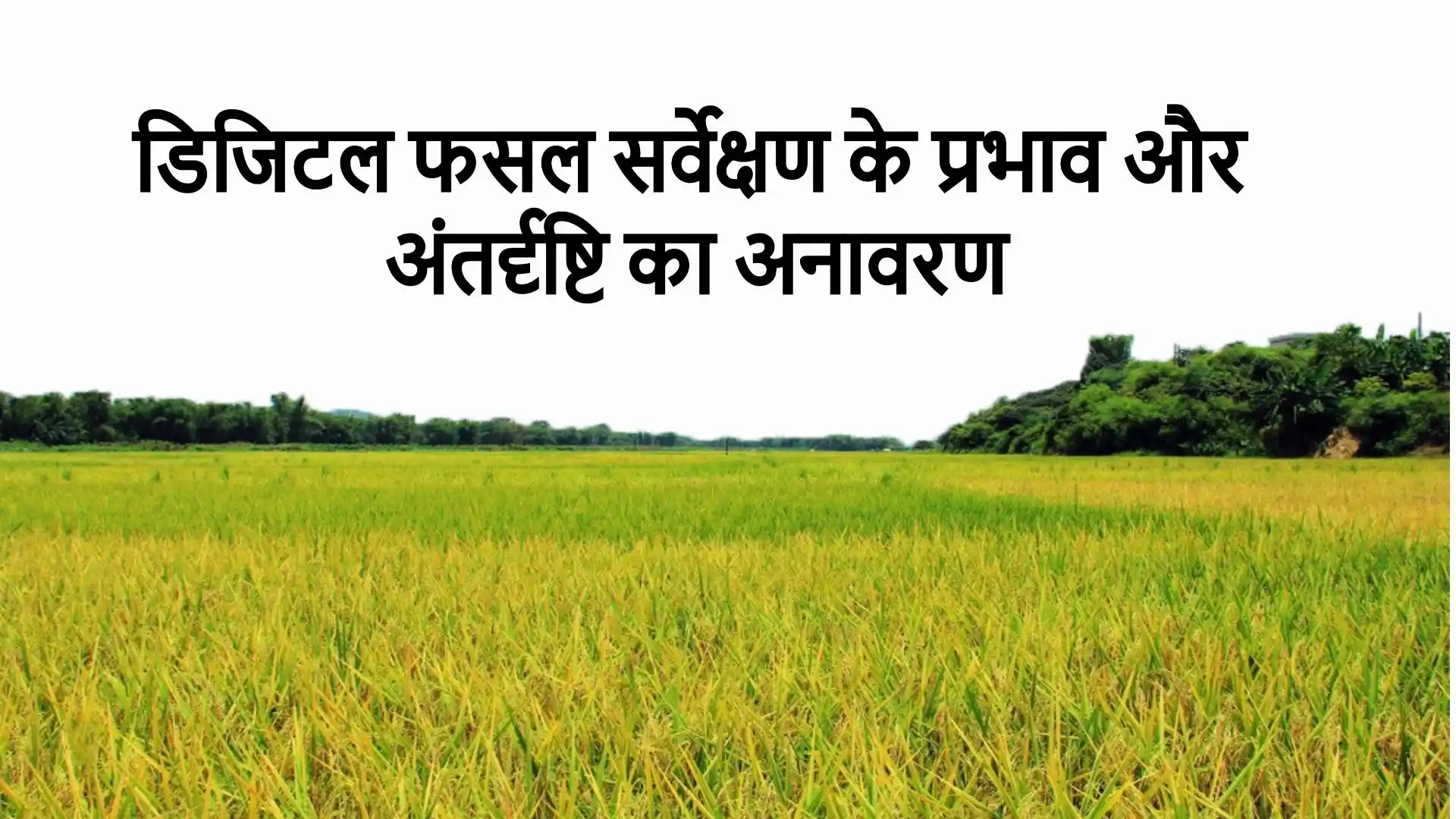 Digital Crop Survey डिजिटल फसल सर्वेक्षण के प्रभाव और अंतर्दृष्टि का अनावरण