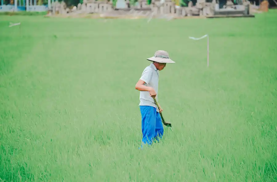 PM Kisan Samman Nidhi Yojana - पीएम किसान सम्मान निधि योजना