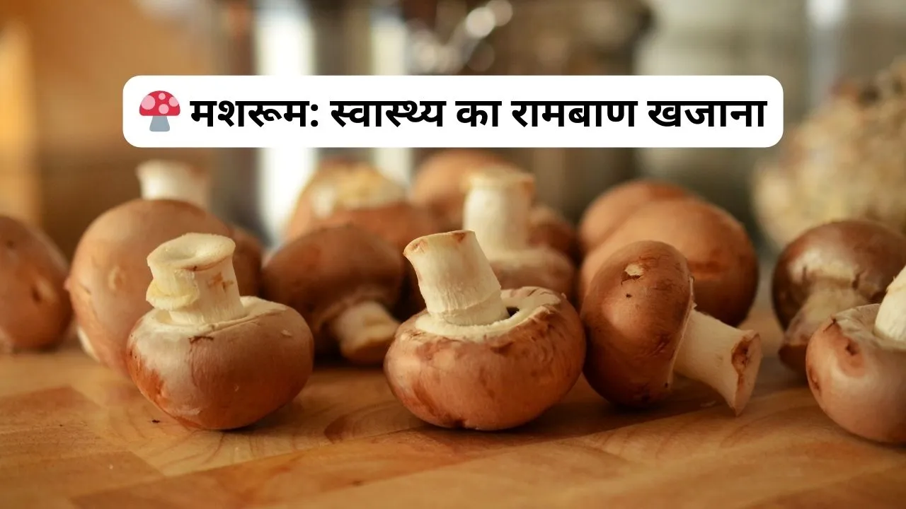 मशरूम स्वास्थ्य का रामबाण खजाना Health Tips