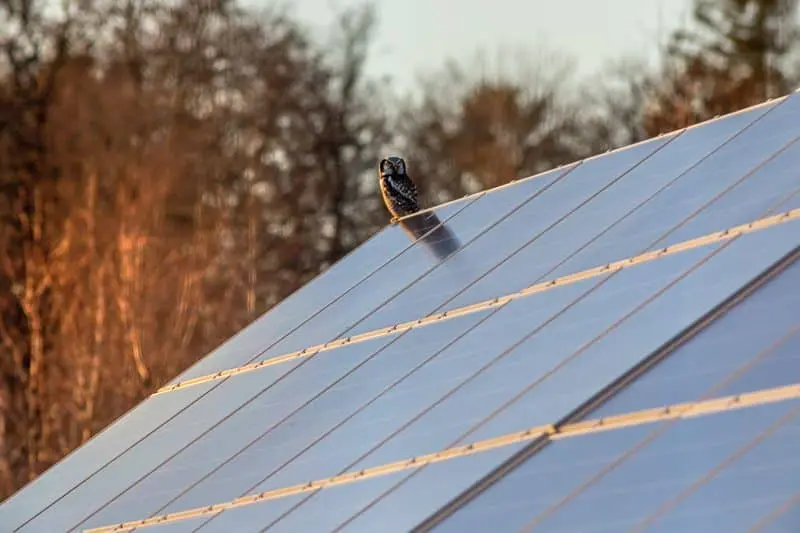 सौर रूफटॉप योजना (Solar Rooftop Scheme)