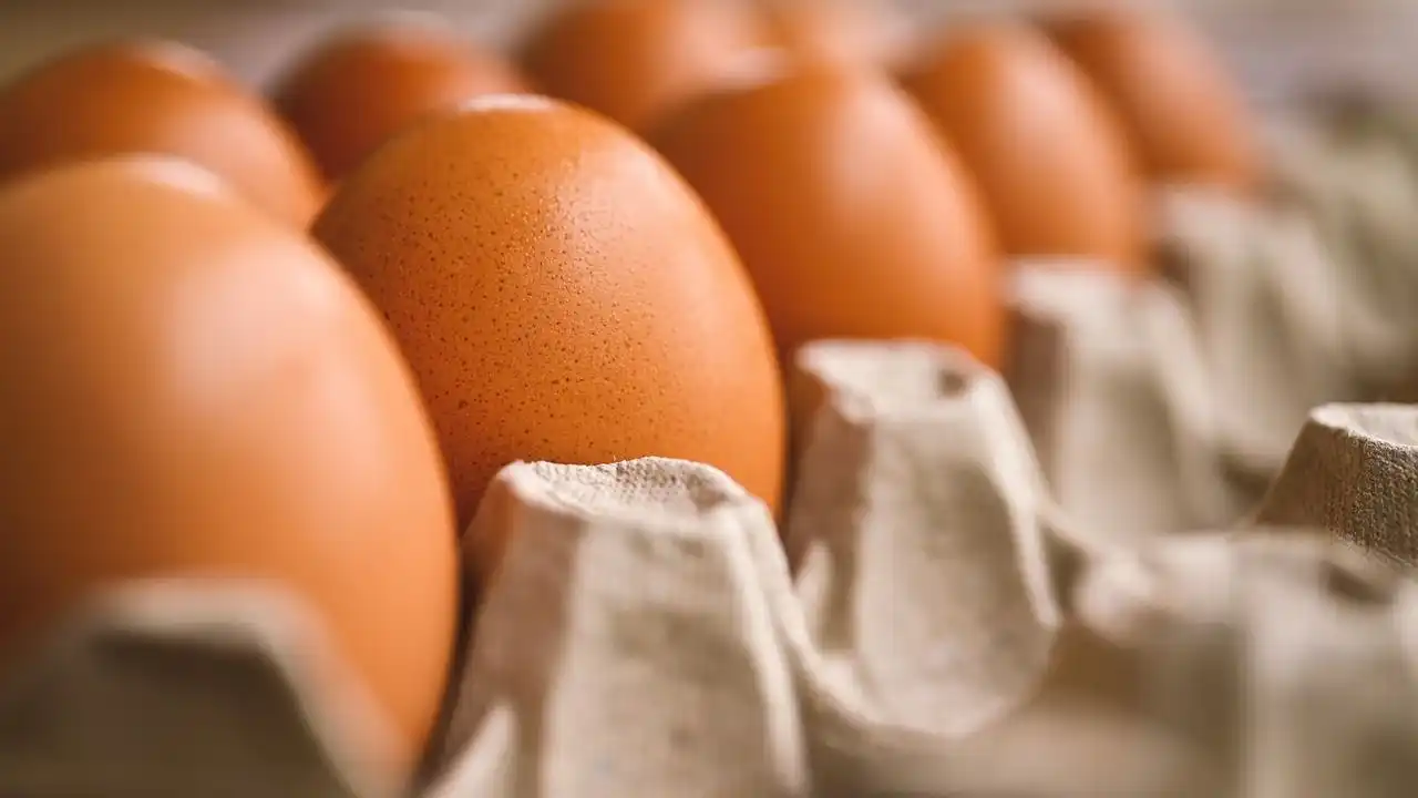 Egg Prices Unveiled