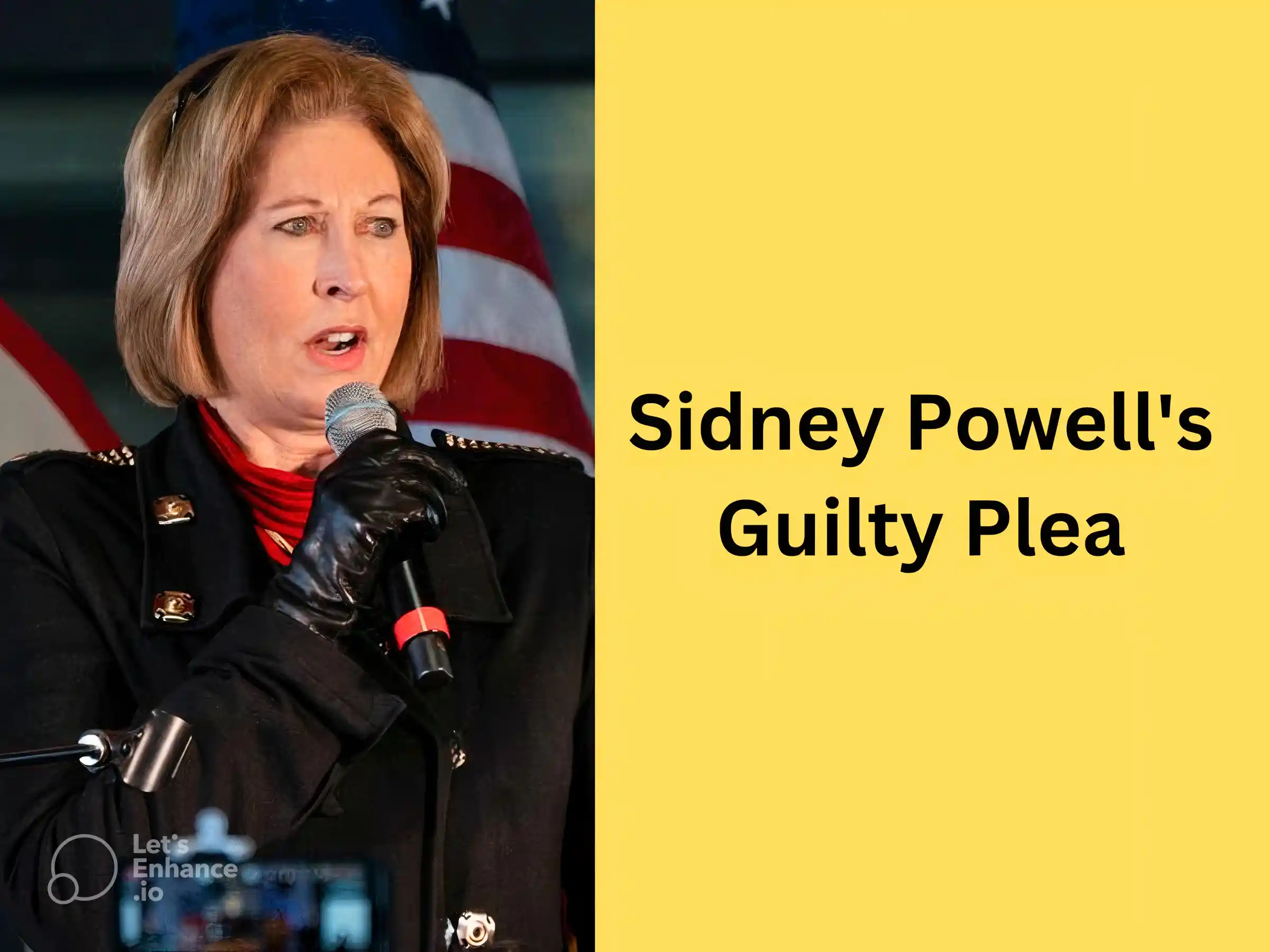 Sidney Powell's Guilty Plea