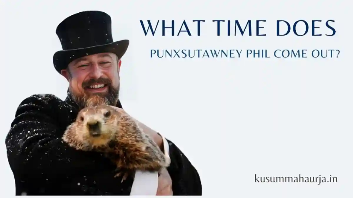 What Time Does Punxsutawney Phil Come Out