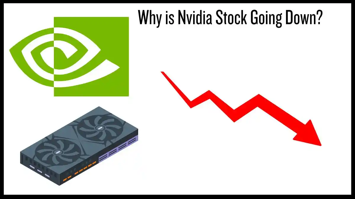 Why is Nvidia Stock Going Down