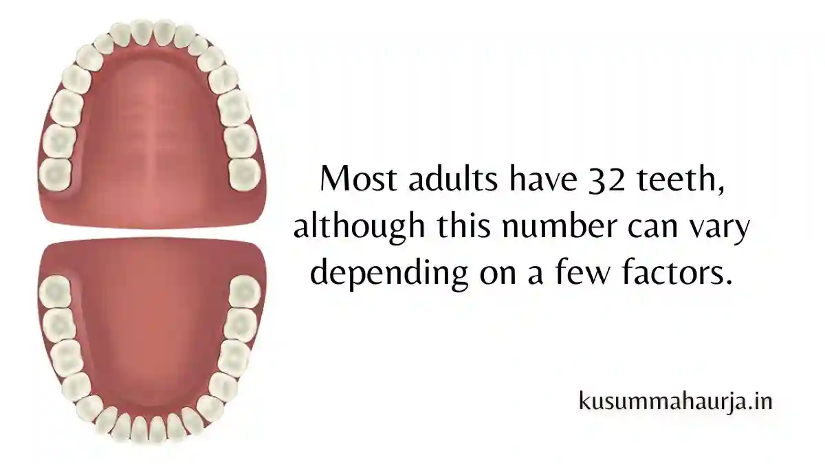 how many teeth do adults have