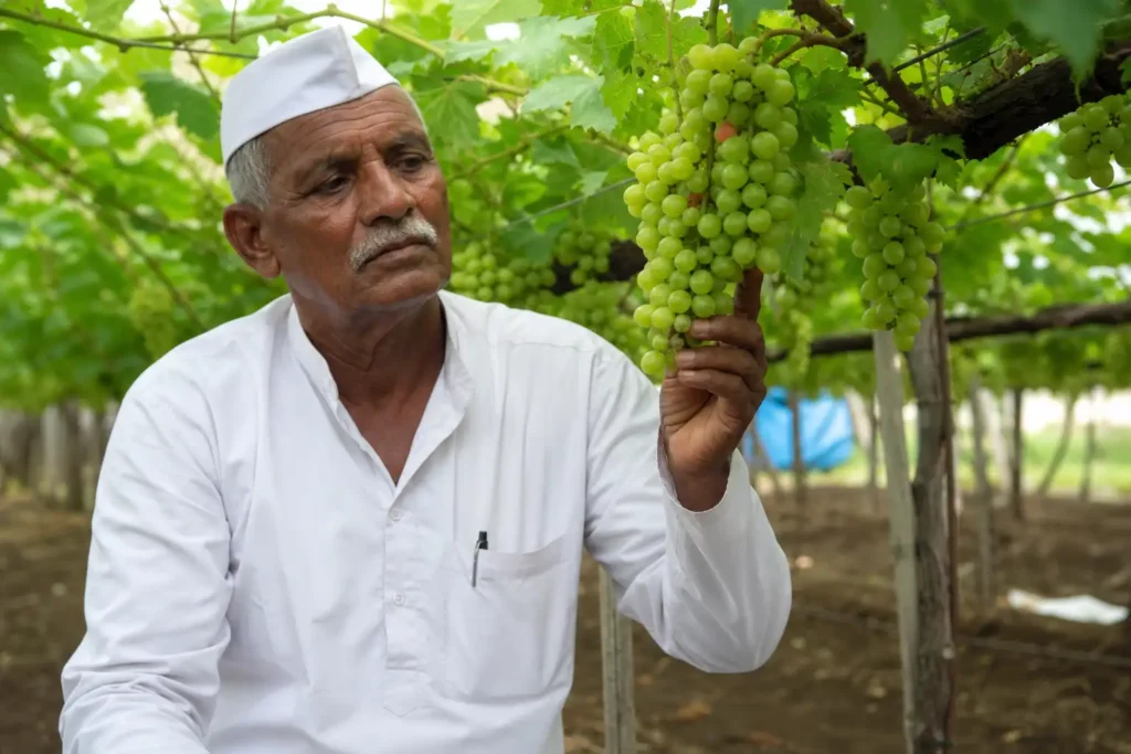 PM-KUSUM solar agriculture pump guide — 8a extract land record solar pump scheme required — Maharashtra farm irrigation under Kusum Mahaurja scheme