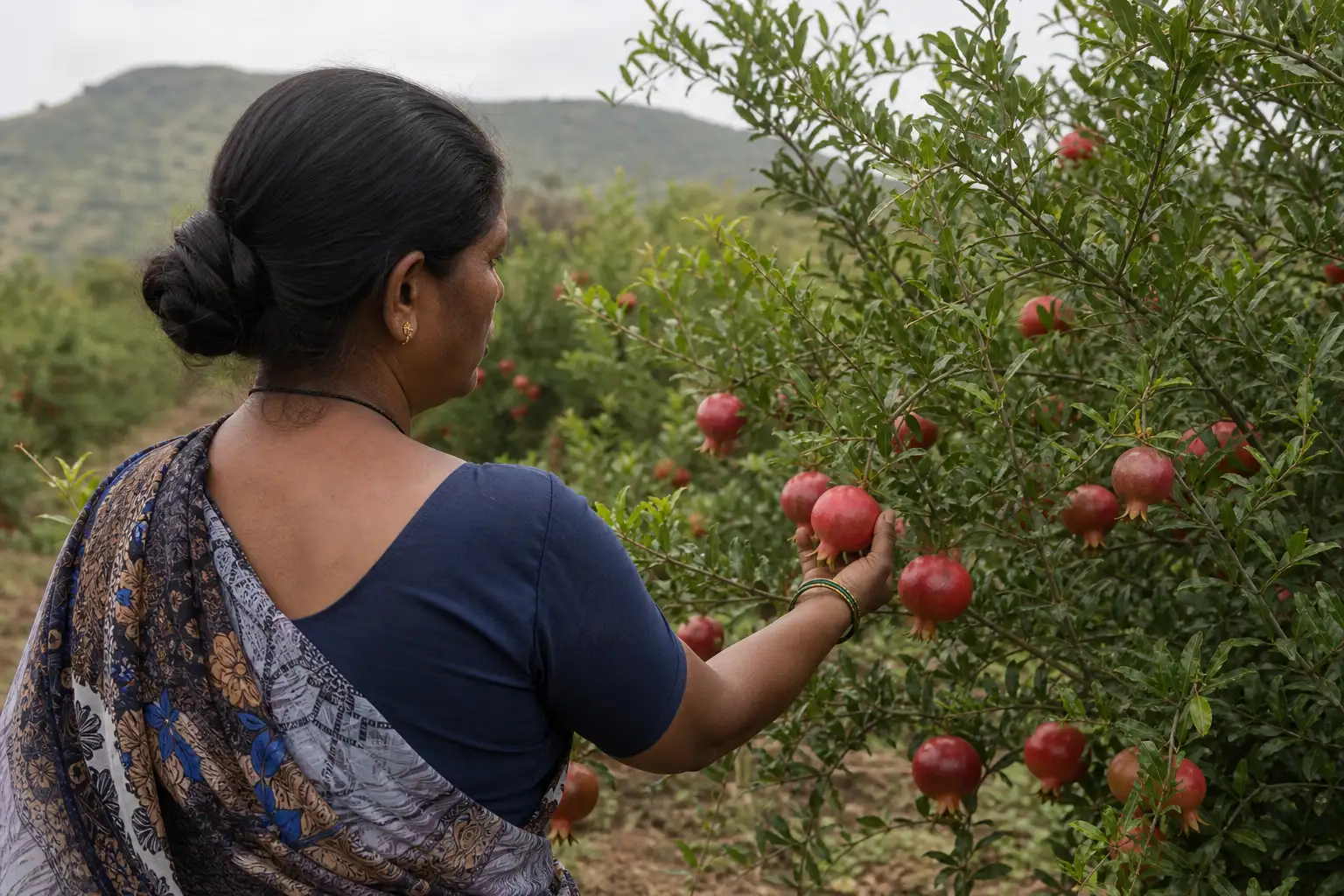 PM-KUSUM solar agriculture pump guide — aadhaar linking kusum solar pump application mandatory — Maharashtra farm irrigation under Kusum Mahaurja scheme