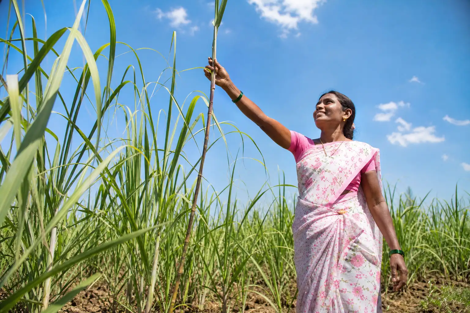 PM-KUSUM solar agriculture pump guide — bank passbook cancelled cheque kusum beneficiary — Maharashtra farm irrigation under Kusum Mahaurja scheme