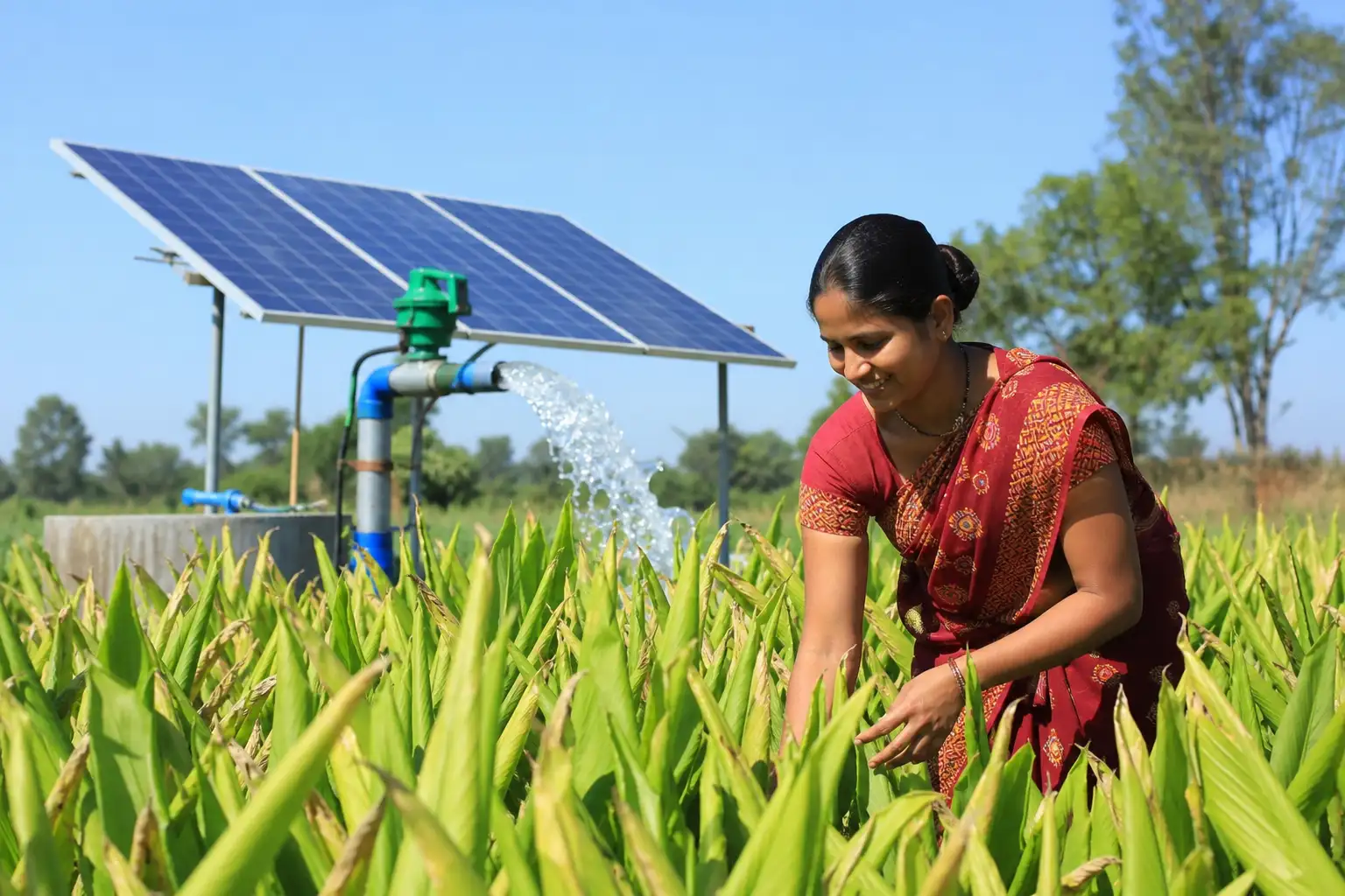 PM-KUSUM solar agriculture pump guide — payback period solar agriculture pump maharashtra — Maharashtra farm irrigation under Kusum Mahaurja scheme